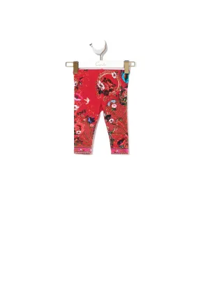 BABIES LEGGING BEEUTIFUL BEINGS
