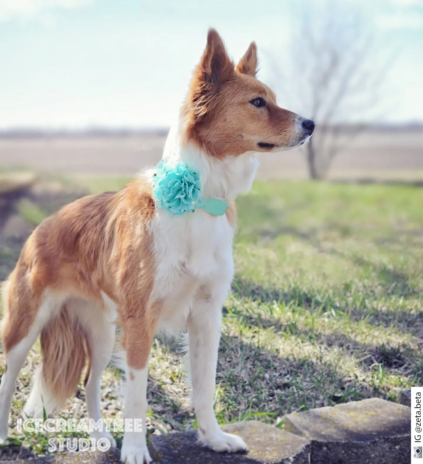 Mint Cream Yellow Bouquet Flower Collar Slide On - Bouquet Flowers Collar Accessory
