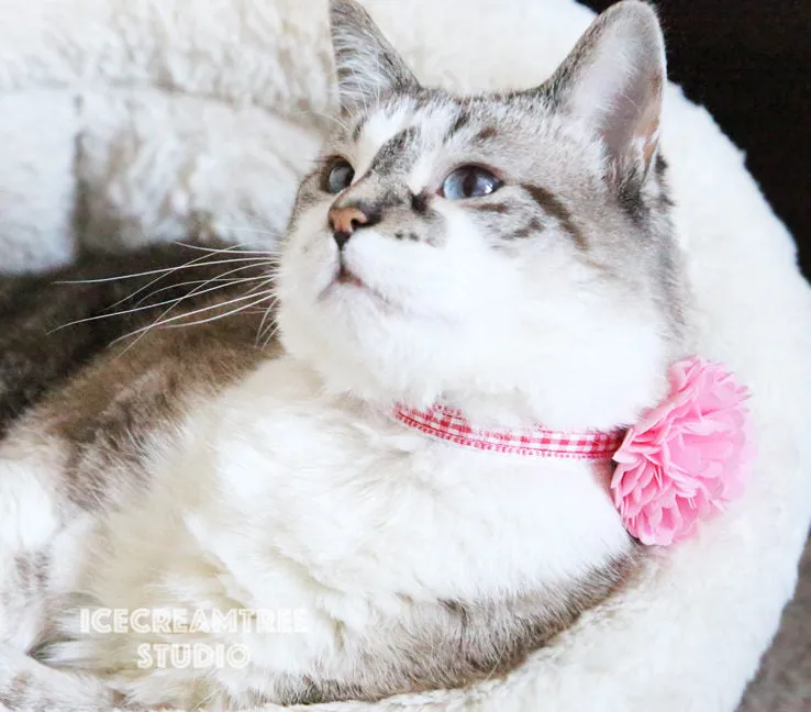 PomPom Hot Pink Bloom Collar Slide On - Small Flower Collar Accessory