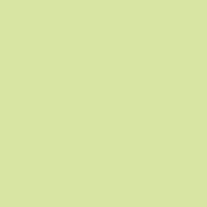 Sheer Turtleneck - Lime