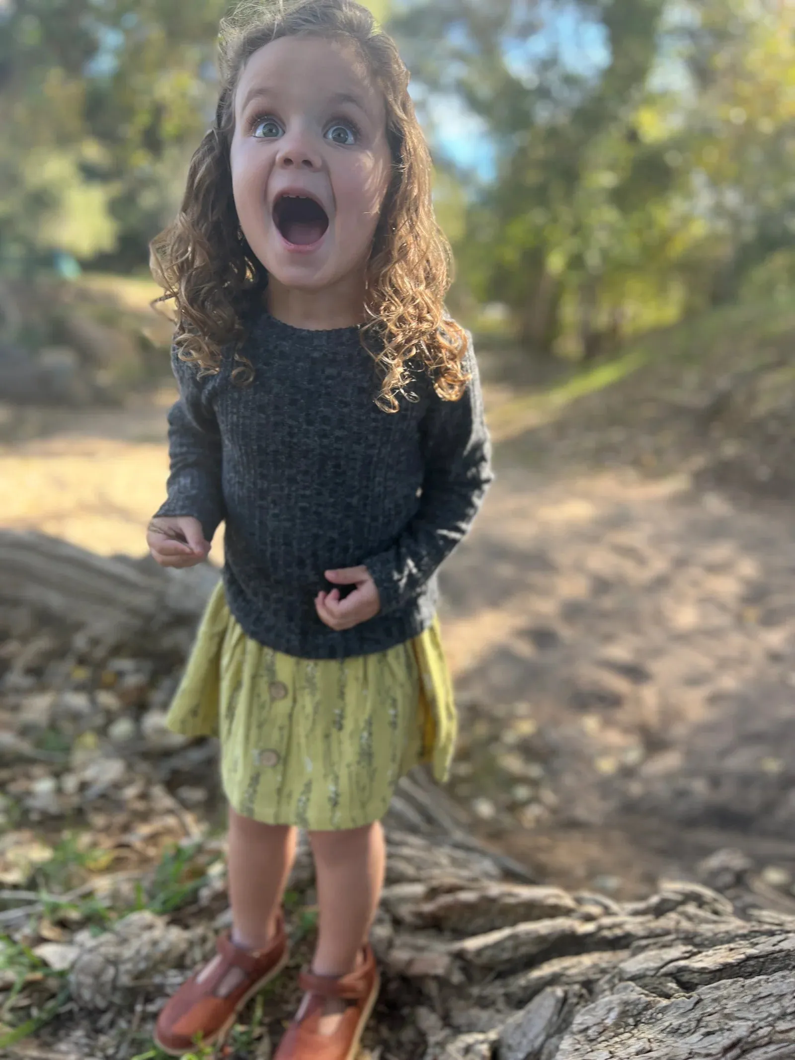 Vignette “Nikki” Ribbed Long Sleeved Tee in Charcoal: Size 2 to 7 Years